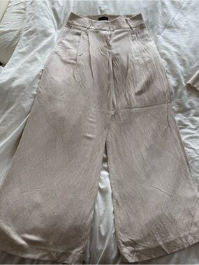 Ann Taylor Pleated Wide-Leg Pants in Light Beige (Linen blend)